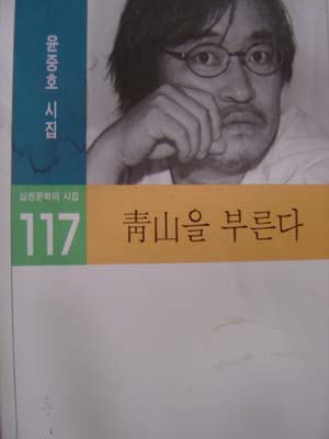 낮은 사람들의 세상을 몸으로 부딪히며 노래한 시집<청산을 부른다>(실천문학사) 